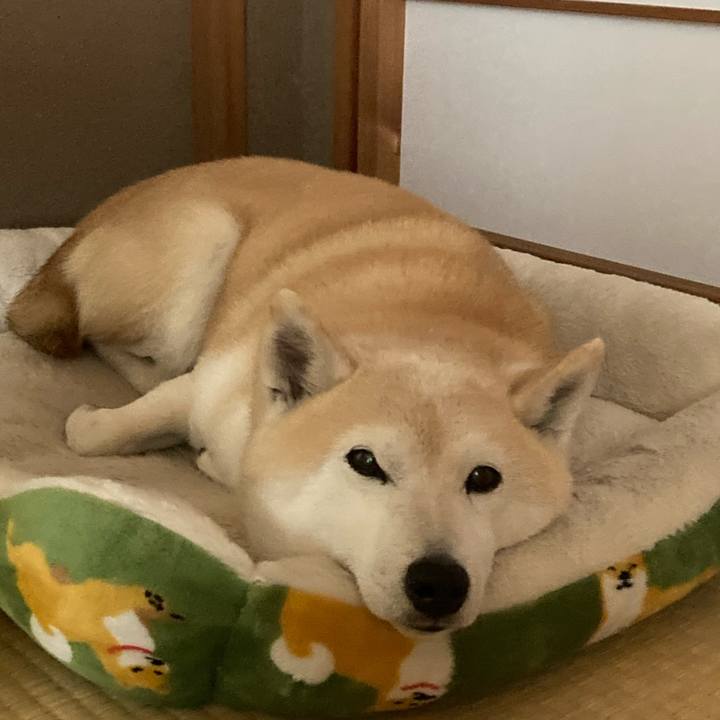 58159600 b9b7 4278 b772 24b56f2a8b2f 1636298552859