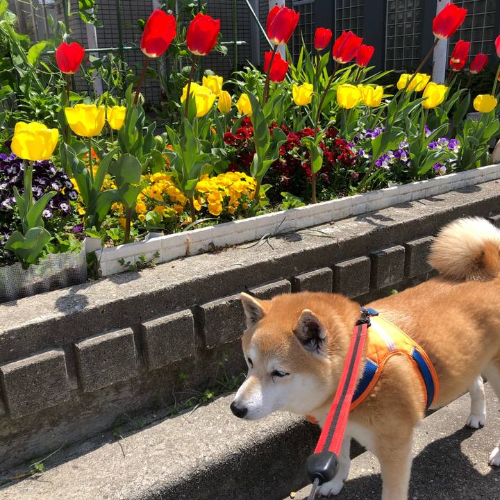 5815b1e0 9e0b 4c4c 815c 2f9f0fed8a33 1586086529052