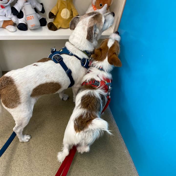 5815c038 9242 42c2 9231 4a6c42e9720d 1662899550243