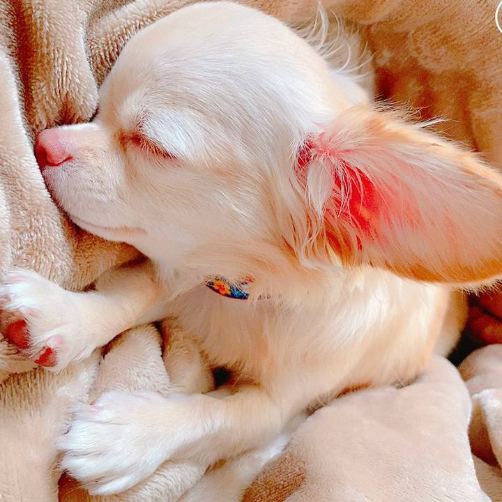 5815ca30 a1b2 43dd 8761 df0418b823b2 1632793668637