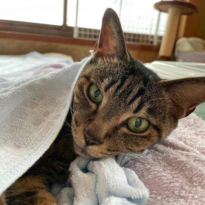 5815ce02 2925 469c b3fa a614d8a2e58e 1625794441800