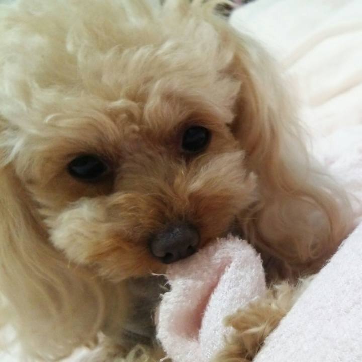 5815ef82 8cc0 41db 9045 4d5938440d76 1525261838376