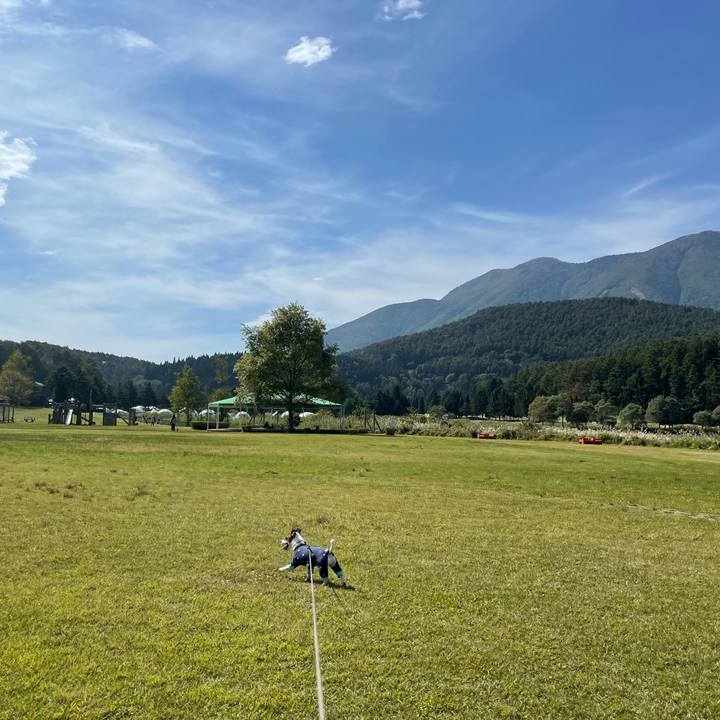 5815f0a1 0bf2 49ea b9ac e25dab7a106f 1633410258365