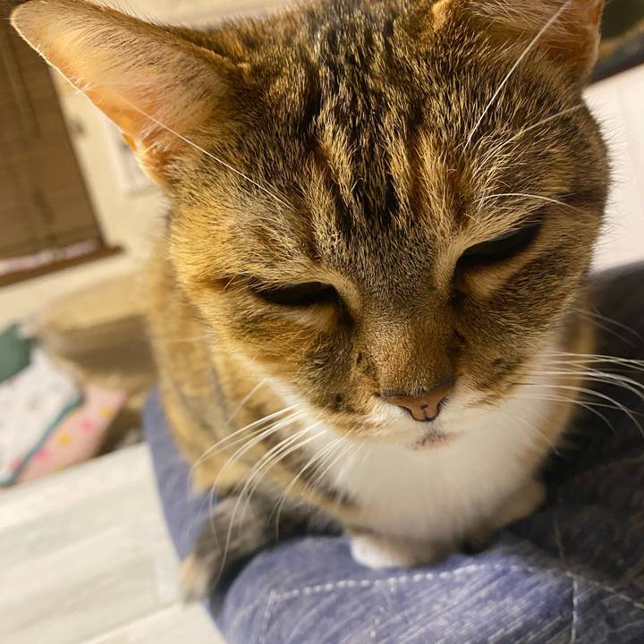 5815f355 3e0b 4234 939f c0c1c38003ba 1615666524417