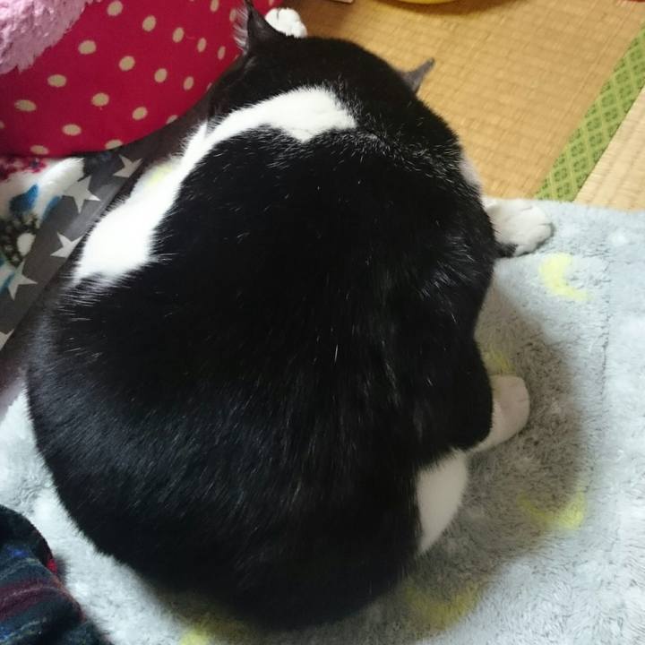 58161b01 7d3d 4a43 b753 201e48b2677d 1518223790290