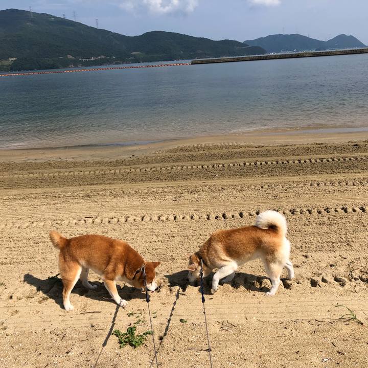 58164650 7c77 4bc5 8b8e 684e1cc2f0af 1566742612548