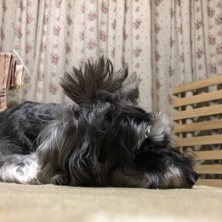 58164a37 e7b0 415c b365 f5f78600269f 1559569351402