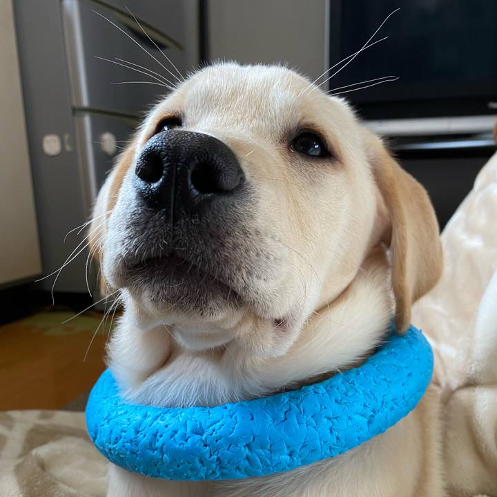 581669b1 e8dd 465b b74b 2b7c35626a6f 1614659497652