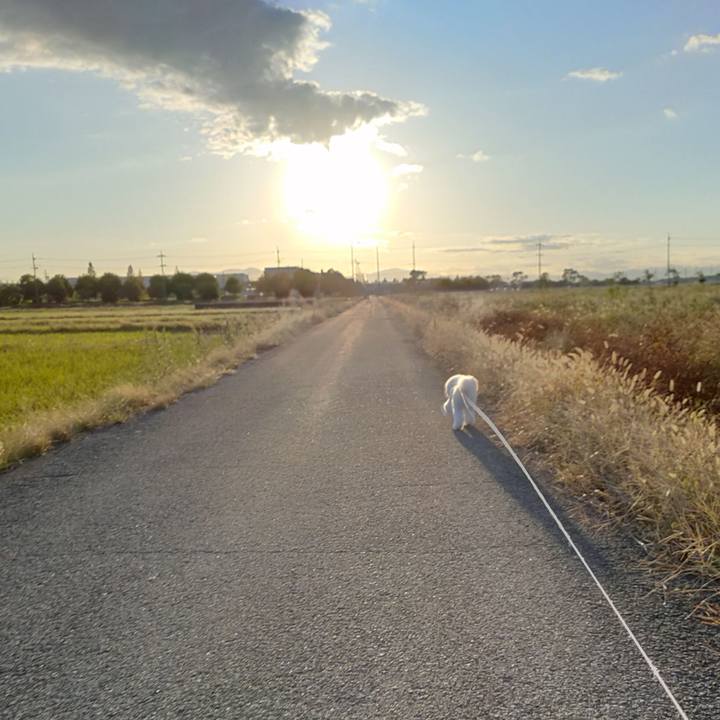 581687fb 710b 4160 b11b ba83f354f364 1761316793384