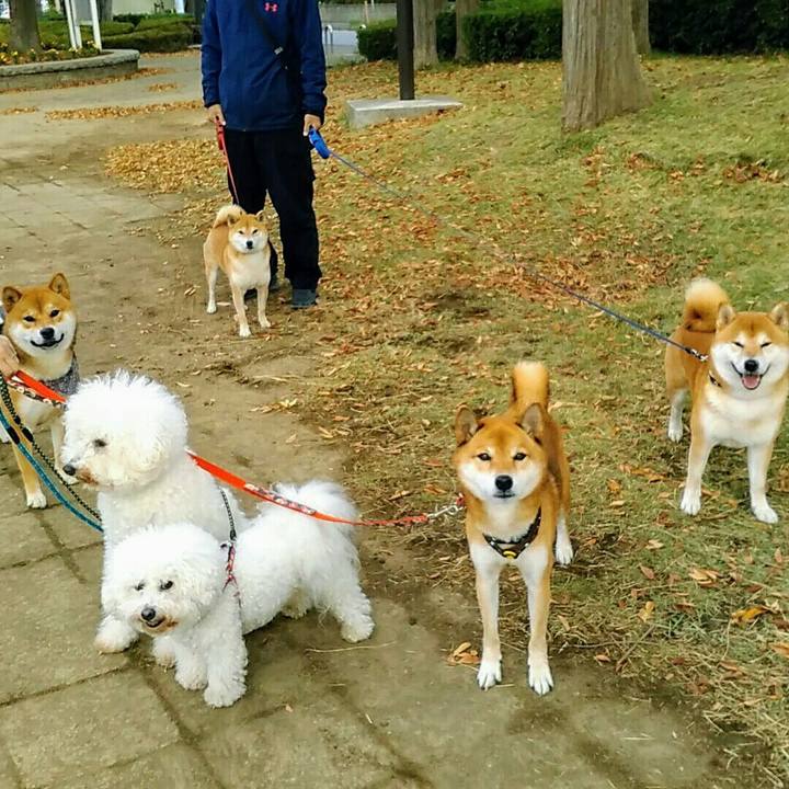 581776cf 97ce 4a82 a417 3264cb9f2029 1573609100124