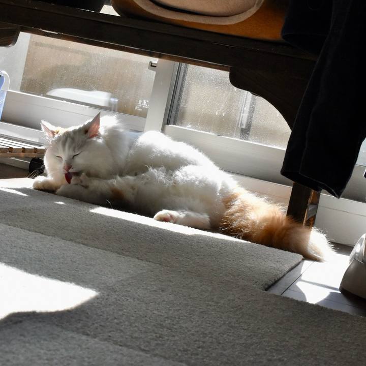 58177dcb 8ad5 4f87 b66d a7d0359fec10 1764466434989