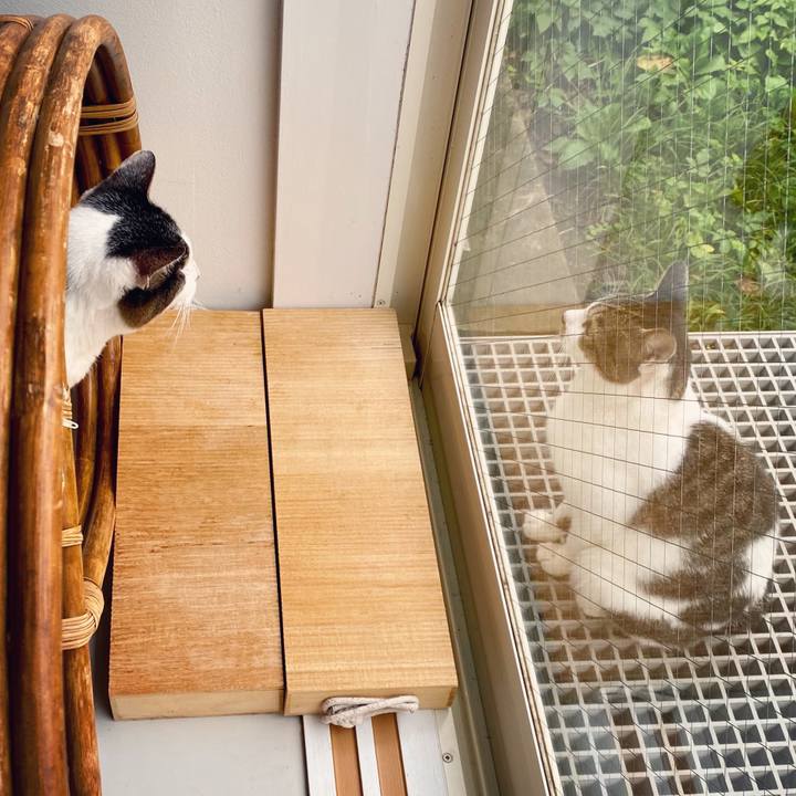 5817ad9e 5882 4e81 9004 7694e12bf9de 1600937813798