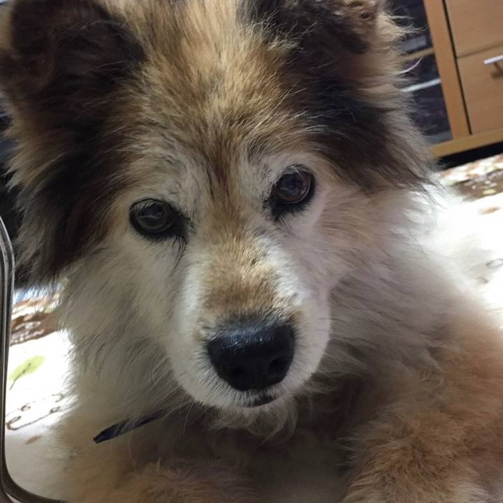 5817aeb4 5061 4dd7 9846 0f5458f2c064 1636120169099