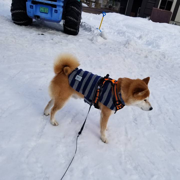 5817b6e8 f2f0 49c6 b83e 5fe87b87bd87 1581402293599