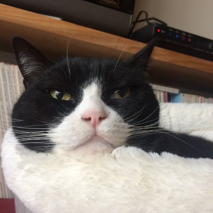 5817d2b4 11f4 4277 8628 433cb9028a34 1517124684916