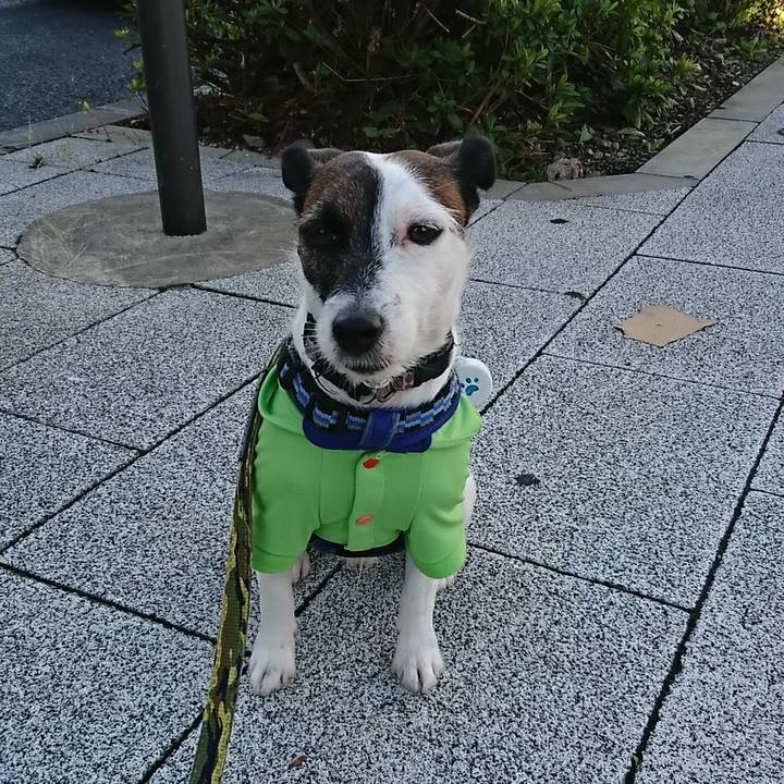 5817d4fc 5e04 4b27 bbc4 fe7313ada8ea 1538344761193