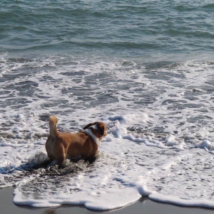 5817d630 3220 4418 a432 fbfb27536020 1643458978680