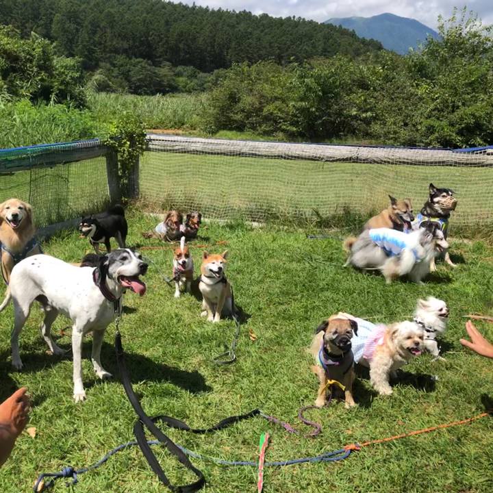 5817f2d2 ac37 4960 a9a8 ab815029523c 1598936924838