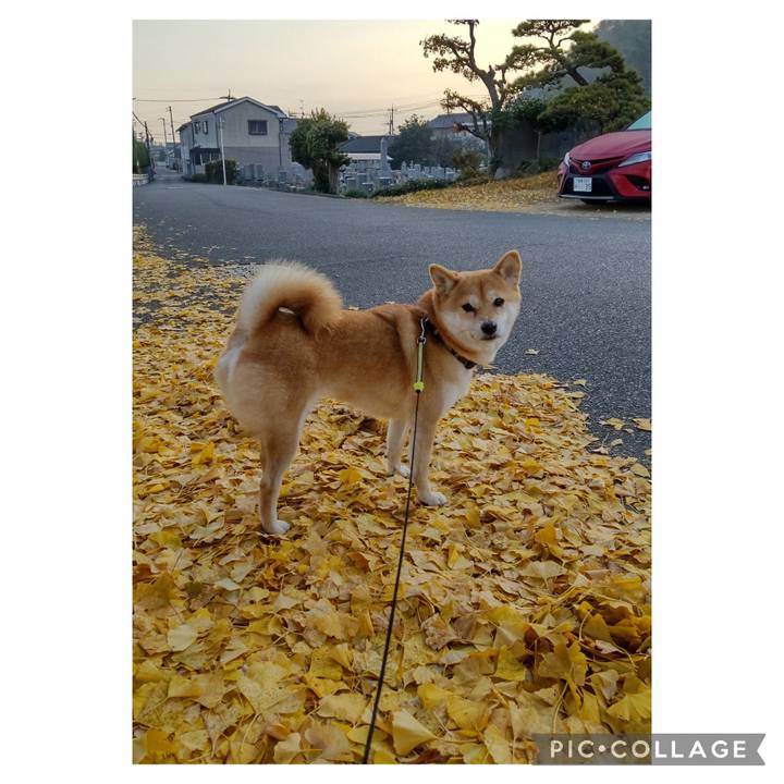 5817fe3c af6d 4605 abc3 3ae6f1036bf0 1702163574972