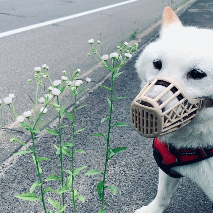 58181f95 2a12 413e 9212 fba371586427 1658264844082