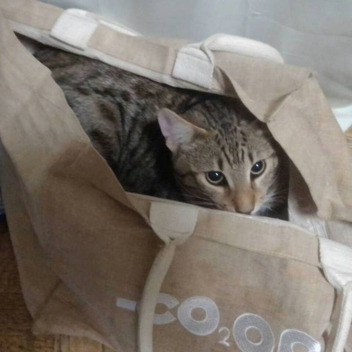 581858f7 c919 474a 854f 03025175bf83 1568357622586