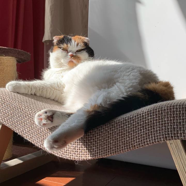 581869c9 fc21 4dfa b62c 7879858a0a93 1566864232545