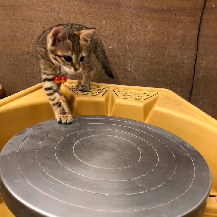 58189420 ef87 497c b6f4 1d3739bafb87 1631011008314