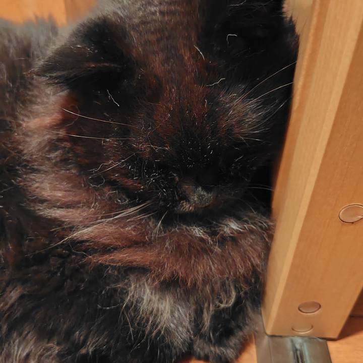 58189bc4 5537 4323 8075 55899dc3c0ad 1753442134102