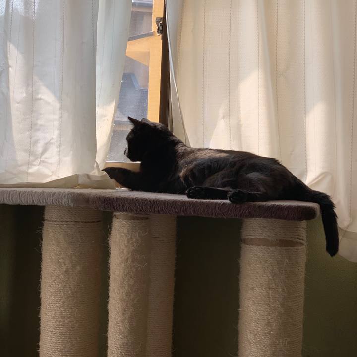 5818e483 1dd7 4c37 94cc 8a9486db84c8 1565484809001