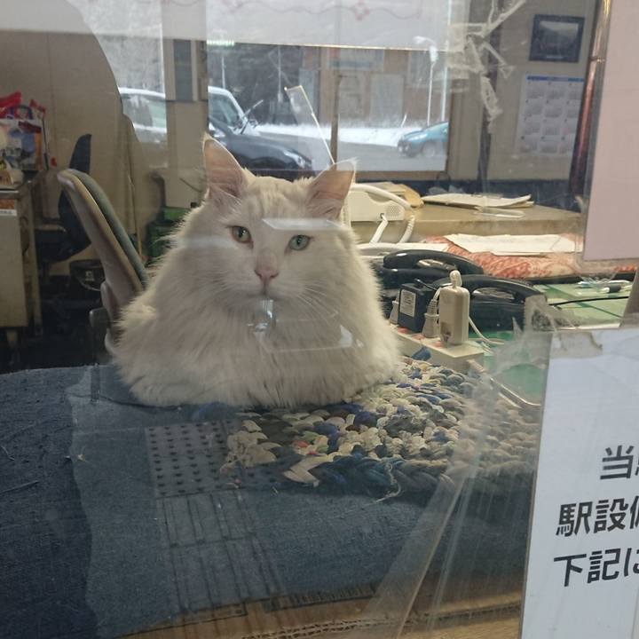 58190463 4394 42e8 9143 648ad886b95c 1553725301489