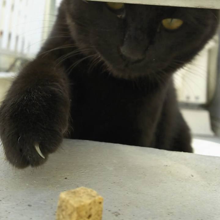 58190740 b32e 40dc 832f 4c6a228a5a2c 1553076712298