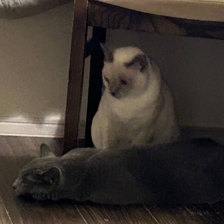 581919bd 8aeb 4c02 ad8d 4bb954e1899d 1737968572210