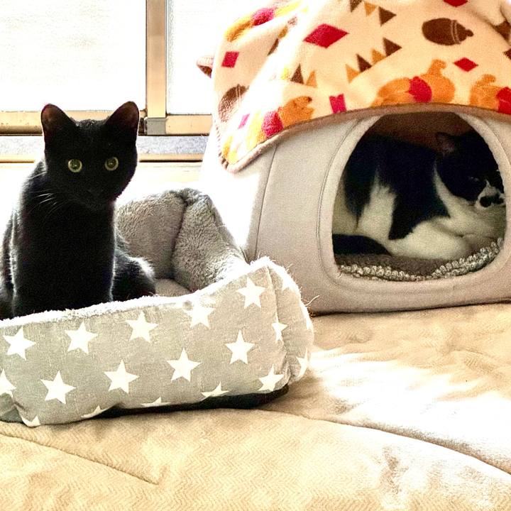 58192f9a db1e 4324 8a36 ae5cec823acd 1736212228584