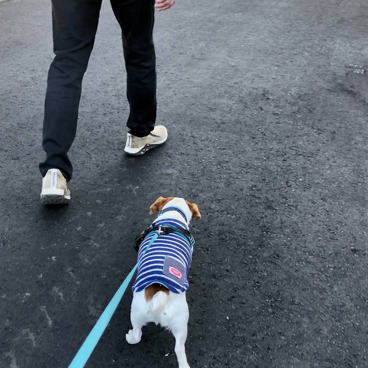 58194486 b6de 463b b6d8 65d452524837 1648980879258