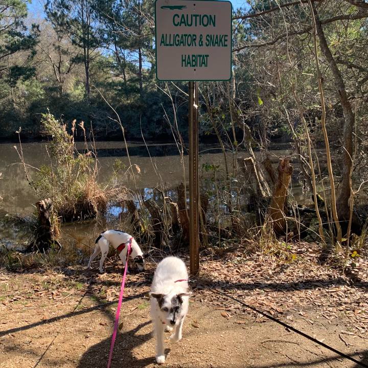 581a0a1a 80e6 481c ad87 117eeb40a2d4 1614117305305