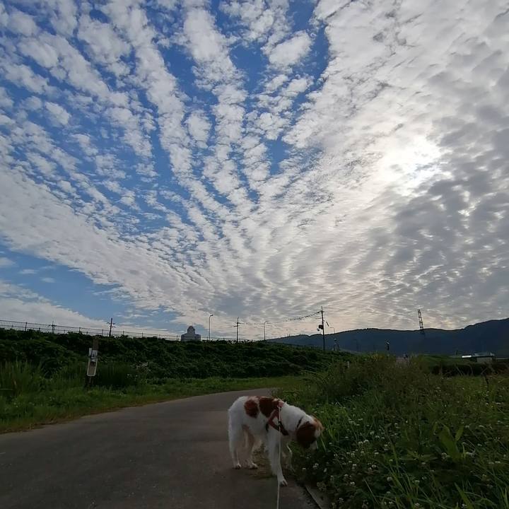 581a153b 46d5 4a00 88bc e08be1a9c8ee 1624237410862