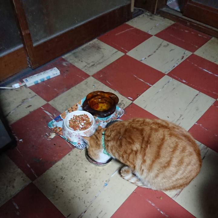 581a1f85 e88e 44cf abfc 7f1fa0ad29d4 1582055663994