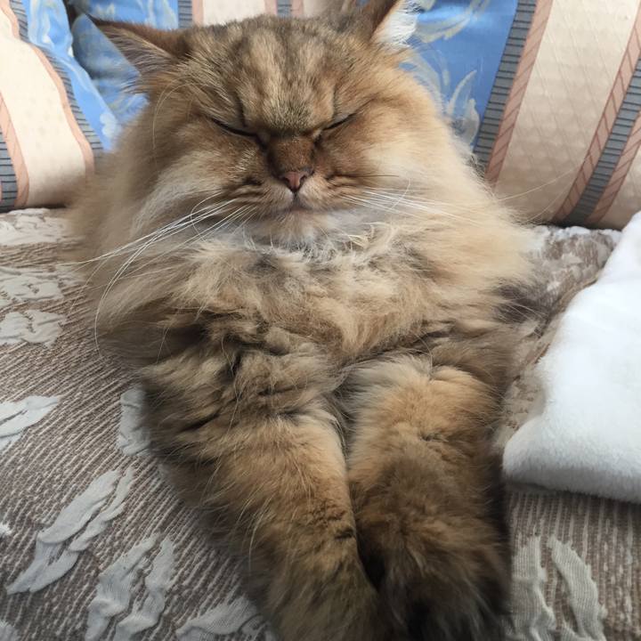 581a42d9 ecc3 4d1c 97dc c18594697fe8 1540005163445