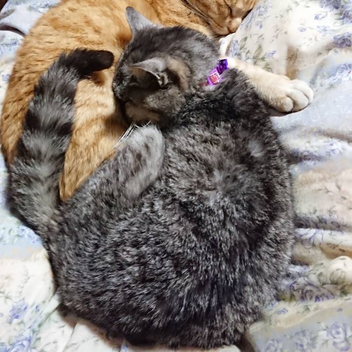 581a5487 1bc3 438c b212 b8ea41c712d5 1578830503713