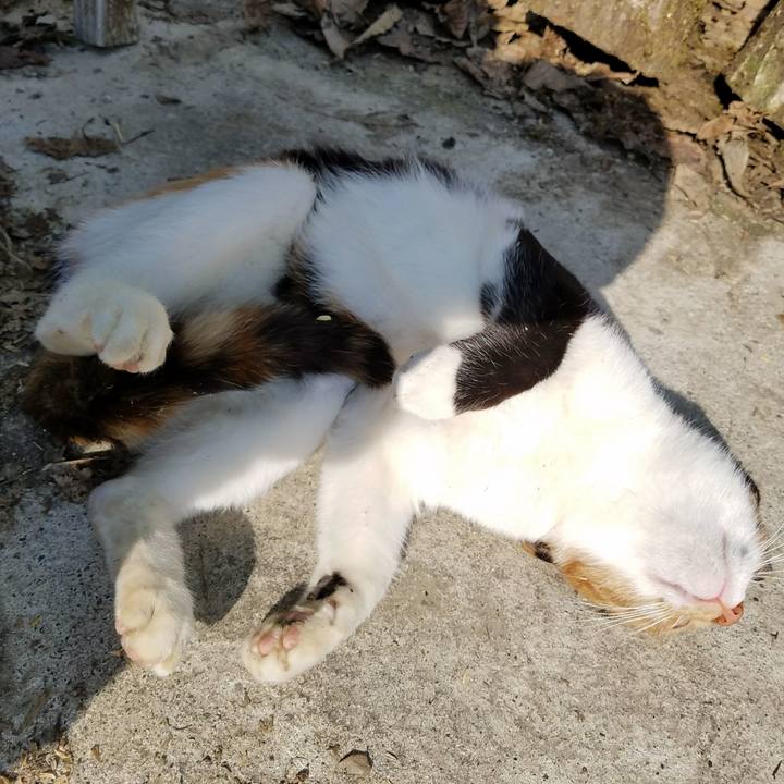 581a690d aa03 4301 832f 3b56760ea8d5 1522142657992