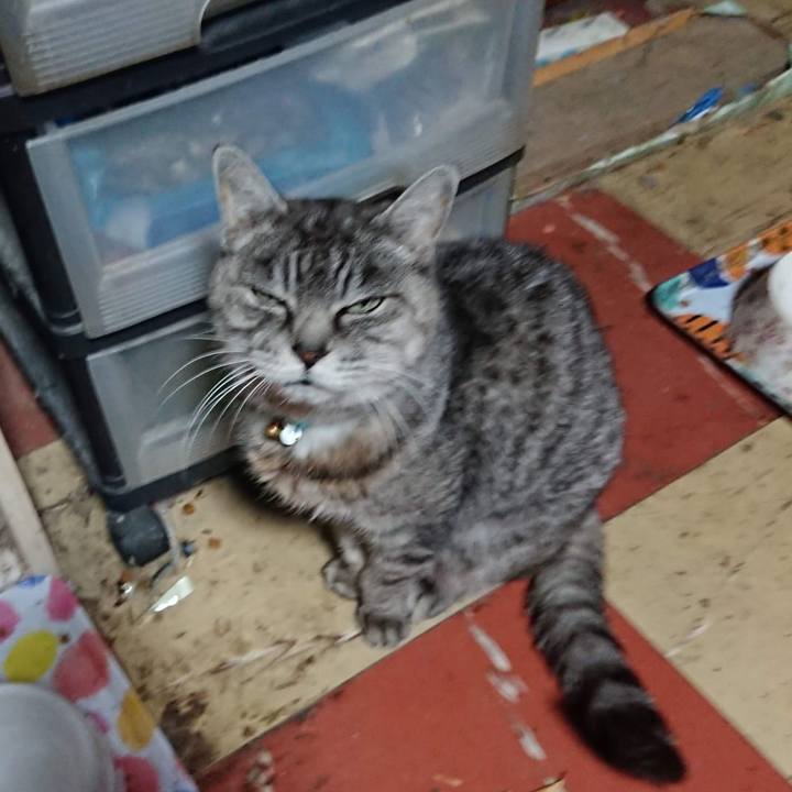 581a691e 0f96 4d33 ac27 65136215638c 1605732269377