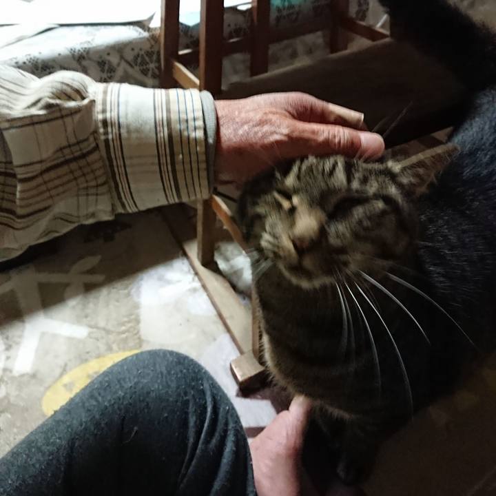 581a6d5f 020e 4d02 a17e 9c3c8d60ca40 1633267513431