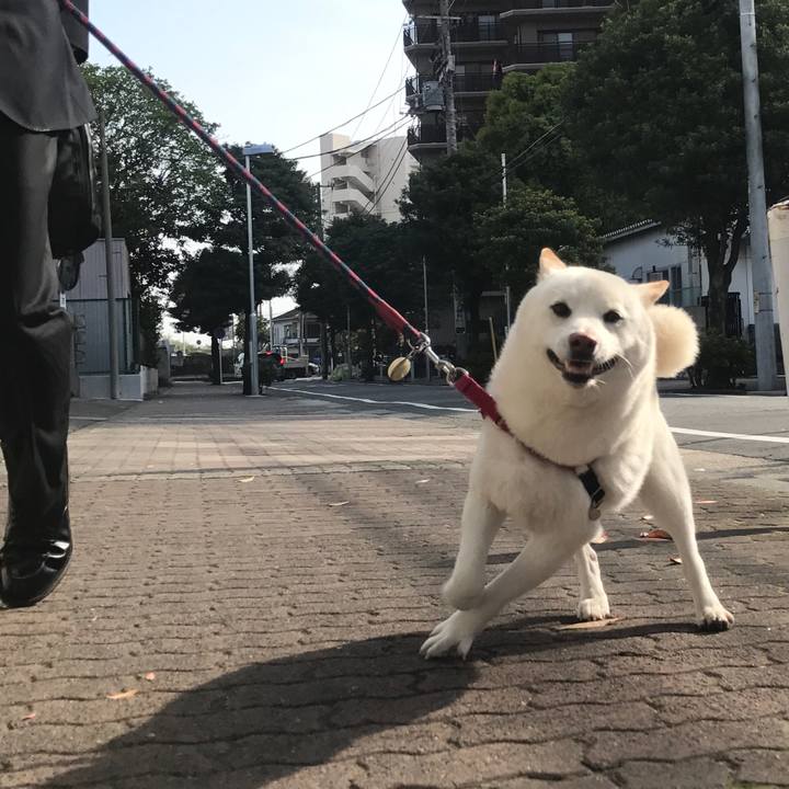 581a70b3 8905 4396 84f3 0d5a9f28d440 1522971373935