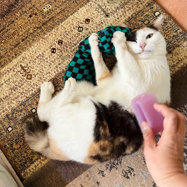 581adee6 ebfc 4cb1 9a55 3d5db28f3d49 1672543186870