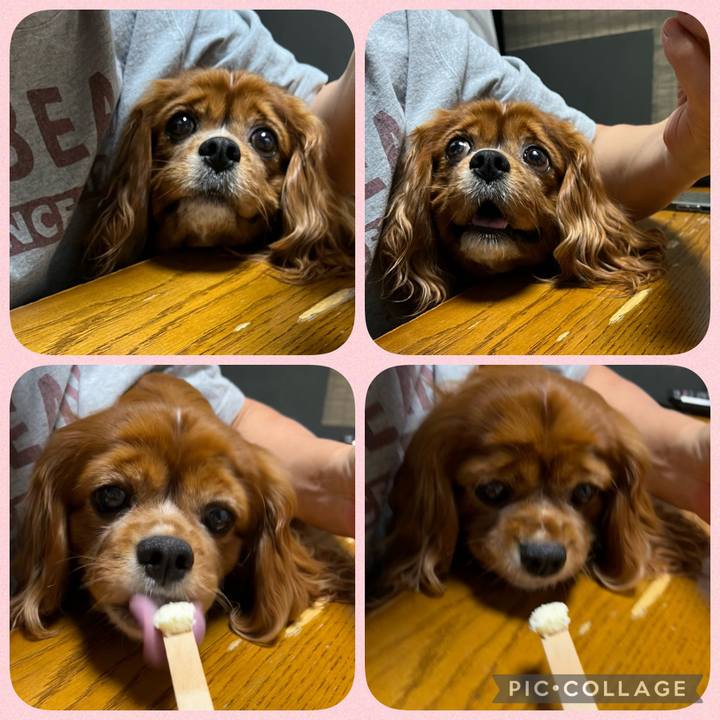 581b0c4c 0115 4644 a077 181da2d816e7 1653652928538