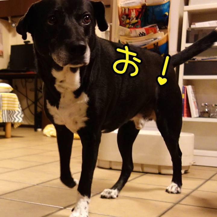 581b1c18 6b64 4f7c a208 c3d603e16f56 1745579258857