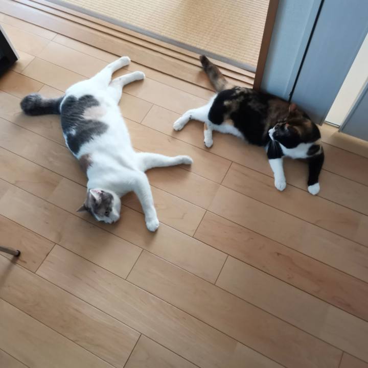 581b3f01 99b3 403d ae50 1222f0a9e0b4 1655263373641