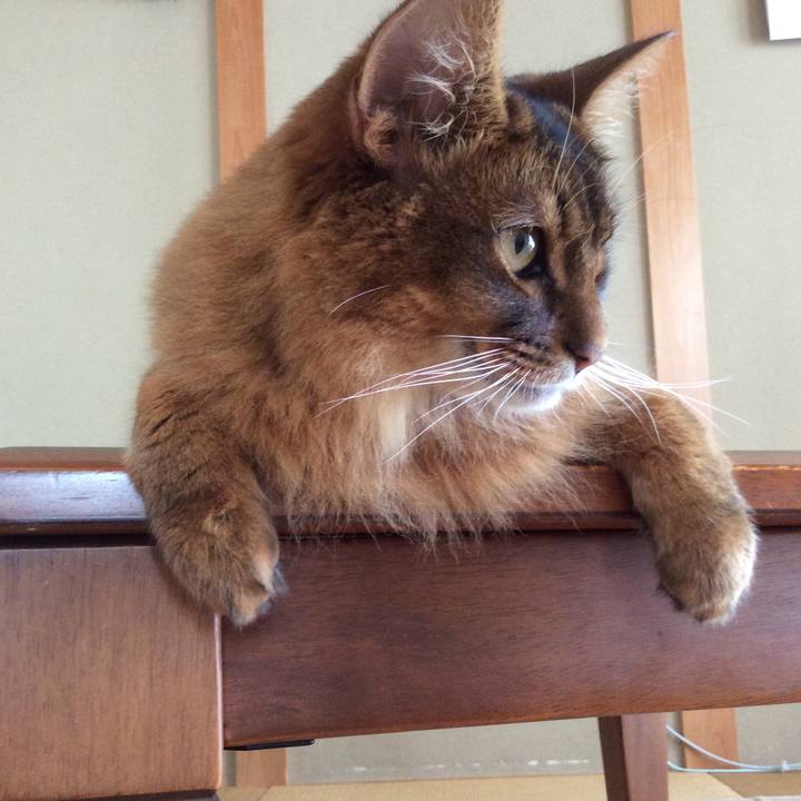 581b953a 2ddf 46cf 8812 2066586bd11f 1625524293111