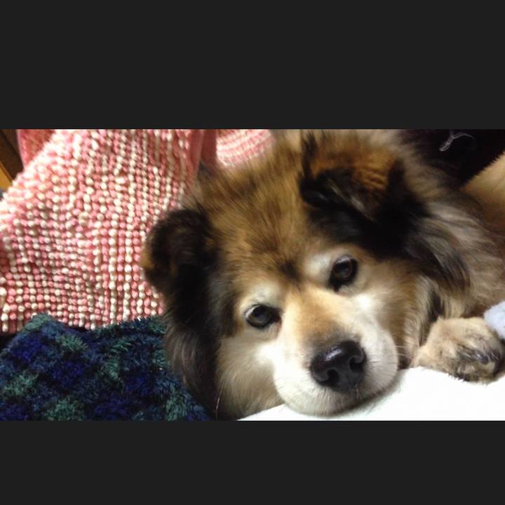 581ba643 8853 4f18 b4be 05b6e241a7d2 1634602677636