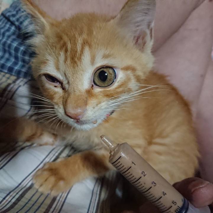 581bca23 abfe 4cab a61d 74c7b591c5d9 1628712083093